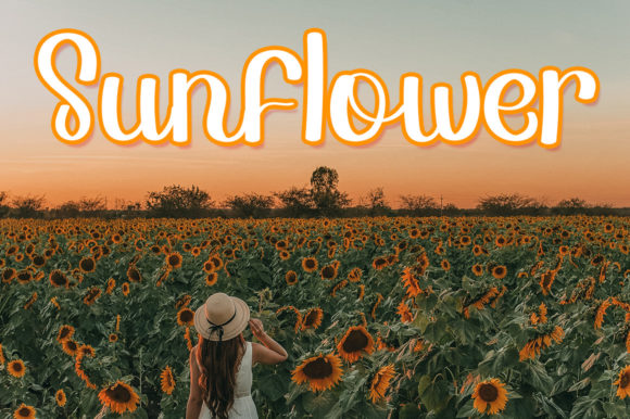 Summer in London Font Poster 4