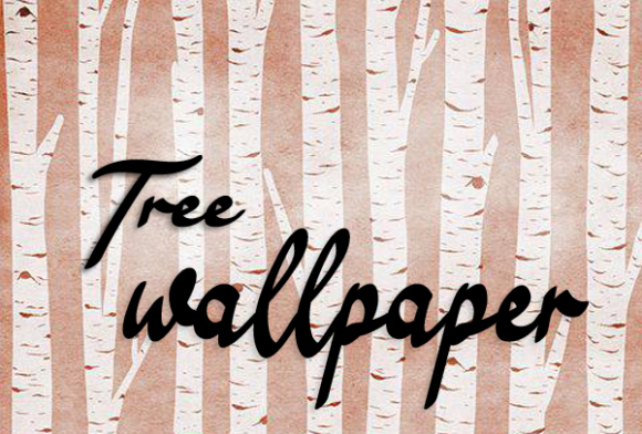 Summer Signori Font Poster 4