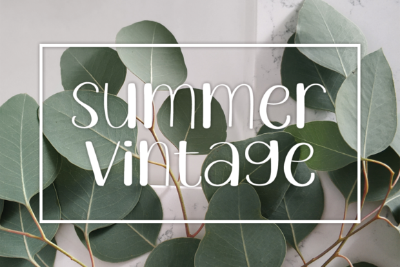 Summer Vintage Font Poster 1