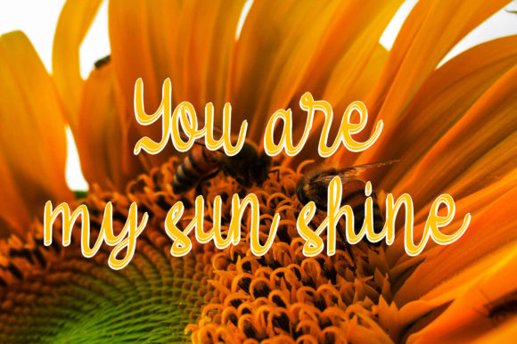 Sun Flowers Font Poster 2