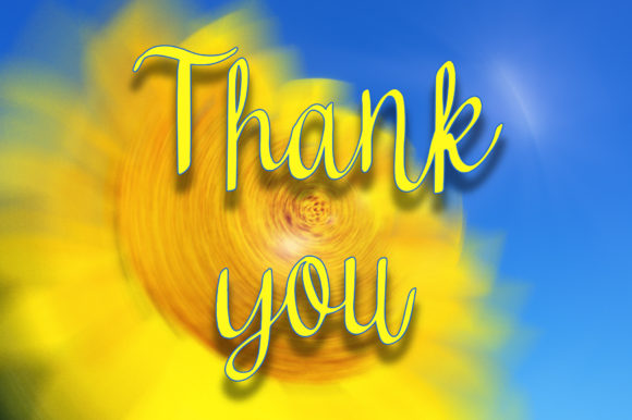 Sun Flowers Font Poster 6