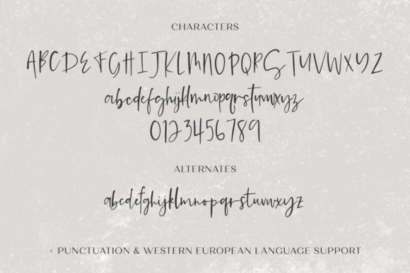 Sunchaser Script Font Poster 10