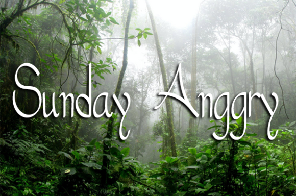 Sunday Anggry Font Poster 1