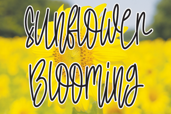 Sunflower Blooming Font Poster 1
