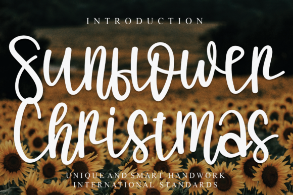 Sunflower Christmas Font