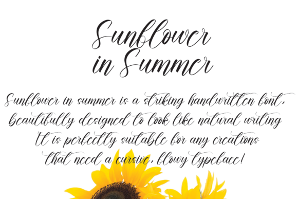 Sunflower in Summer Font Poster 2