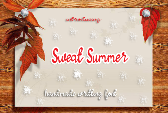 Sweat Summer Font Poster 1