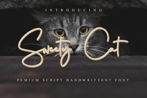 Sweety Cat Font Poster 1