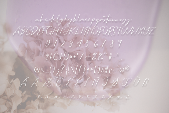 Tamara Font Poster 4