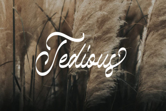 Taniesha Font Poster 7