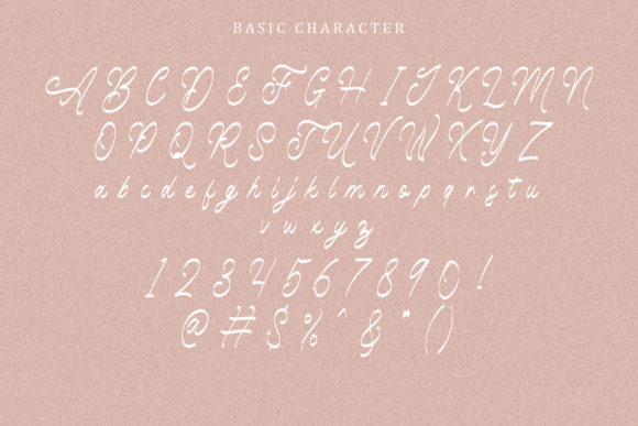 Taniesha Font Poster 8