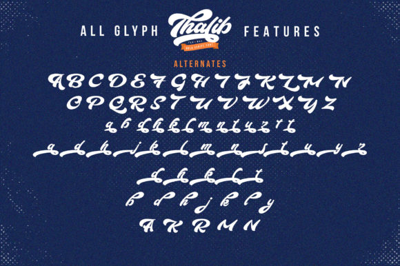 Thalib Font Poster 11