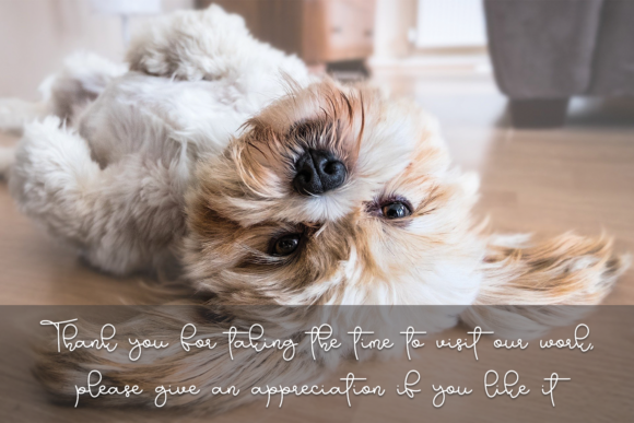 The Attention Font Poster 6