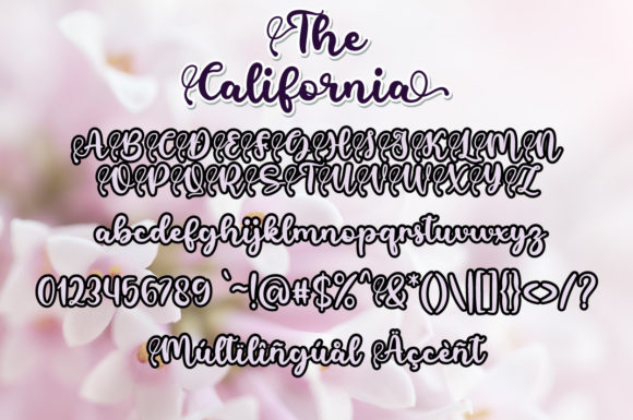 The California Font Poster 8