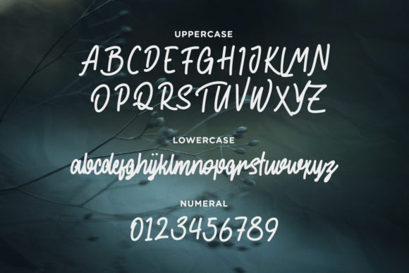 The End Story Font Poster 2
