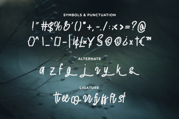 The End Story Font Poster 3