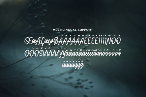 The End Story Font Poster 4