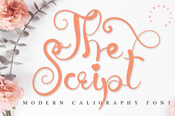 The Script Font Poster 1