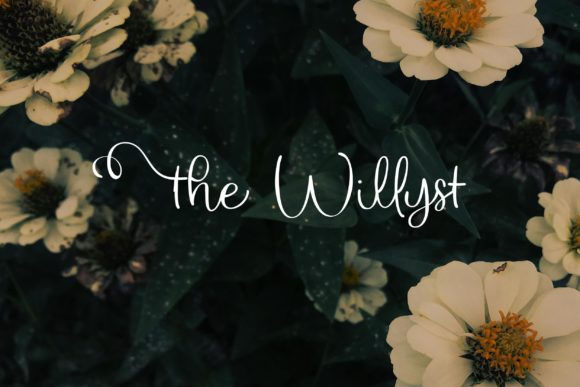 The Willyst Font