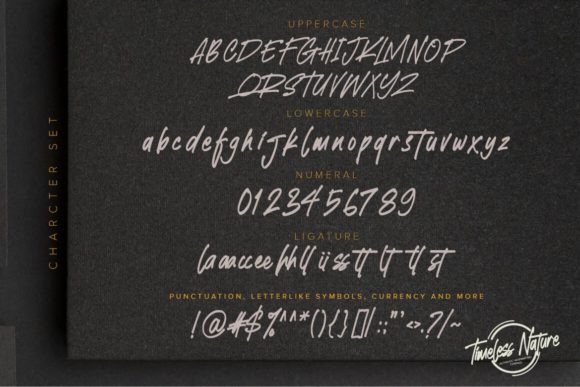 Timeless Nature Font Poster 8