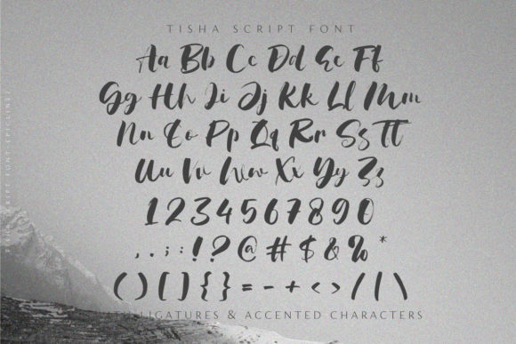Tisha Font Poster 5