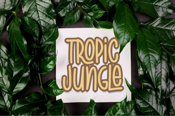 Tropic Jungle Font Poster 4