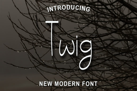 Twig Font Poster 1