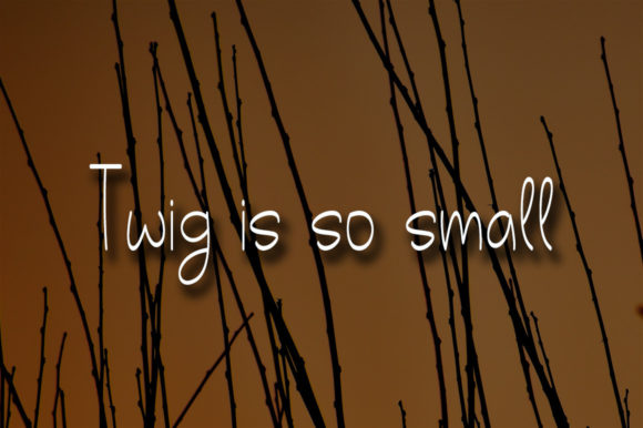Twig Font Poster 3