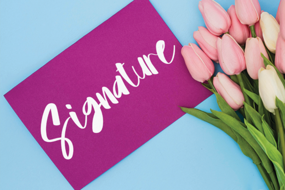 Valentine Font Poster 3