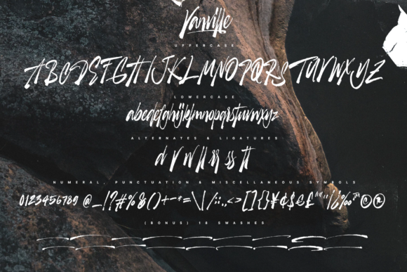 Vanville Script Font Poster 7