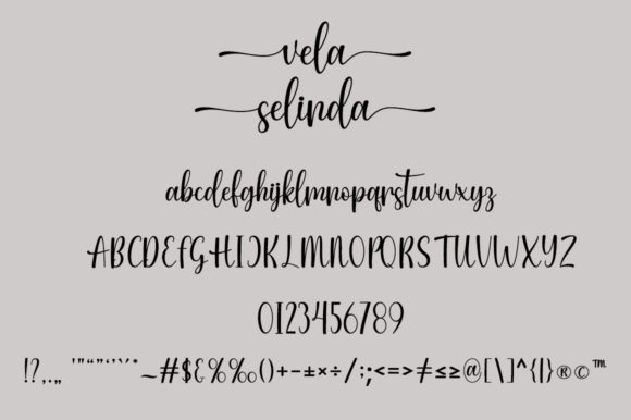 Vela Selinda Font Poster 6