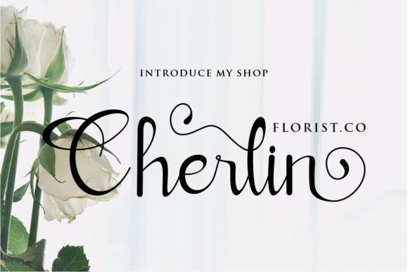Verllina Font Poster 2