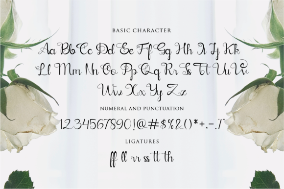 Verllina Font Poster 7