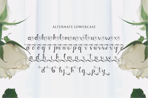 Verllina Font Poster 8