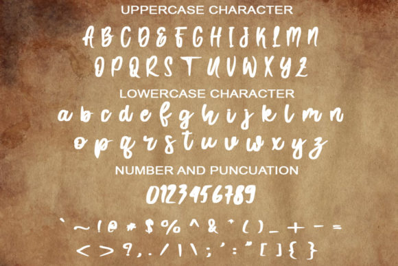 Vintage Craft Font Poster 2