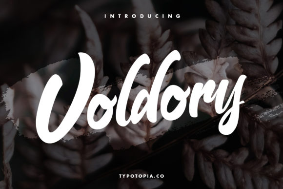 Voldory Font Poster 1
