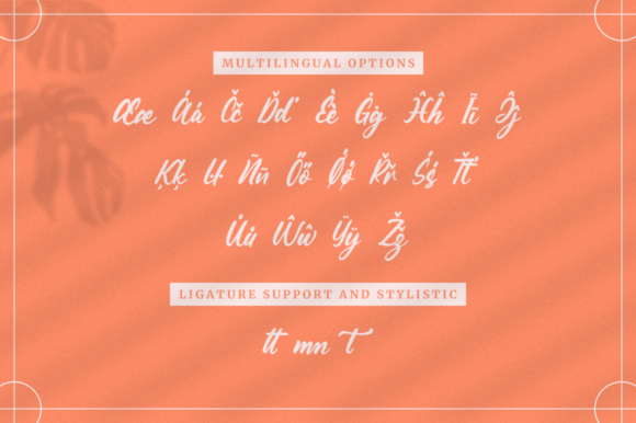 Warmtone Font Poster 11