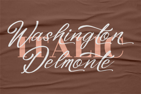 Washington Delmonte Font Poster 2