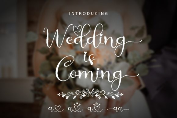 Wedding is Coming Font Poster 1