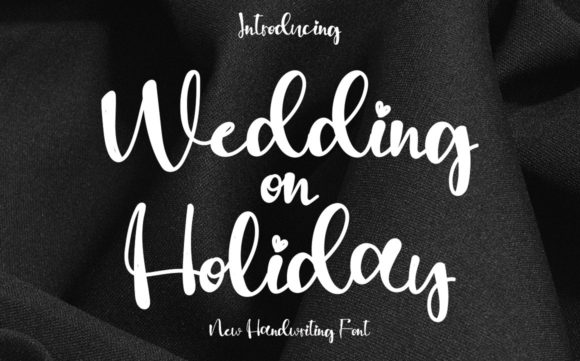 Wedding on Holiday Font Poster 1