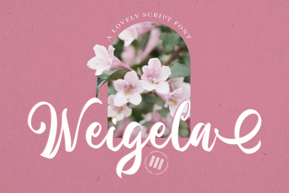 Weigela Font Poster 1