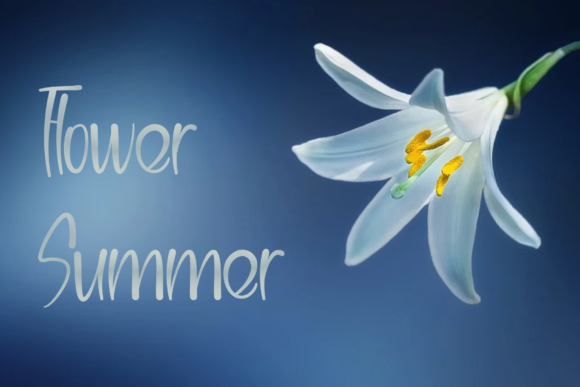 Welcome July Font Poster 3