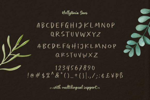 Wellytonia Package Font Poster 9