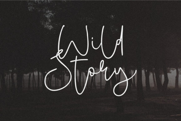 Wild Story Font Poster 1