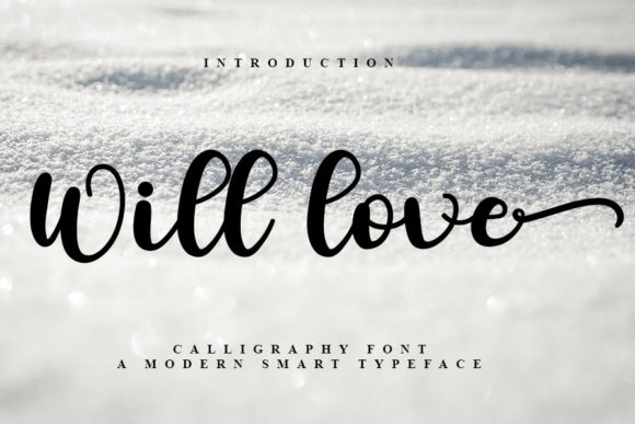 Will Love Font Poster 1