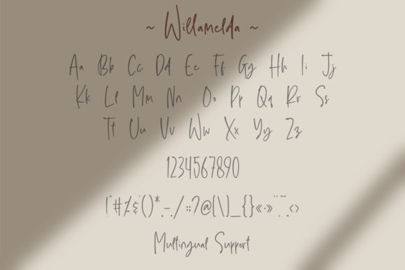 Willamelda Font Poster 3