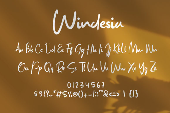 Windesia Font Poster 6