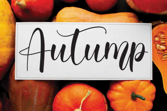 Winter Font Poster 4