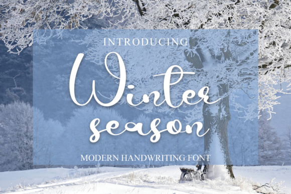 Winter Season Font Poster 1