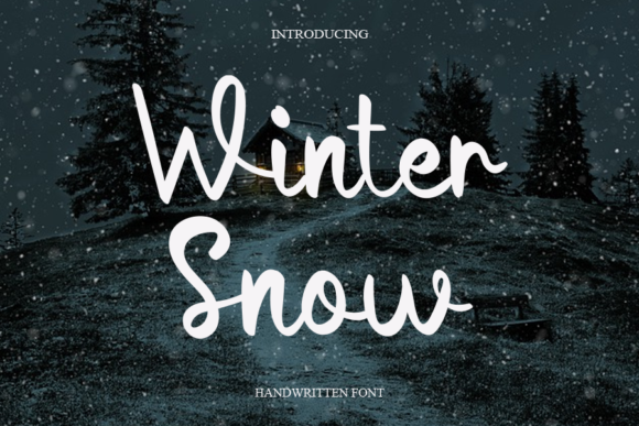 Winter Snow Font Poster 1